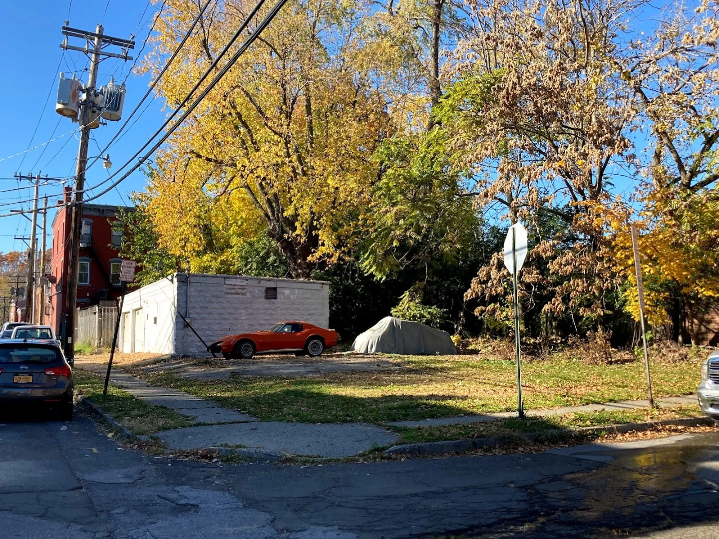 43 Johnes Street corner lot and existing garage, with mature trees behind